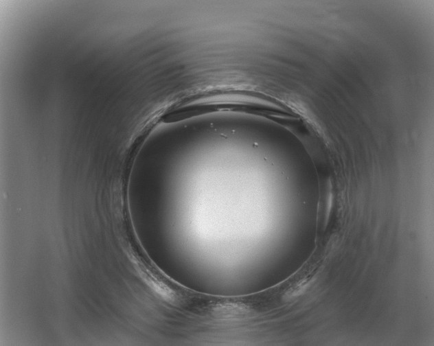 X0000068270397200604281557