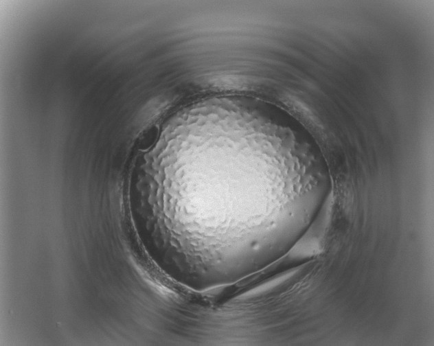 X0000068270398200604281557