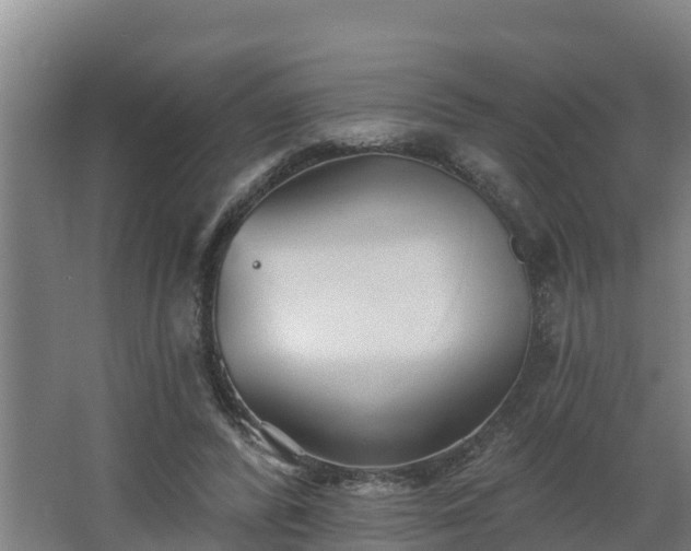 X0000068270400200604281557