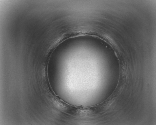 X0000068270401200604281557