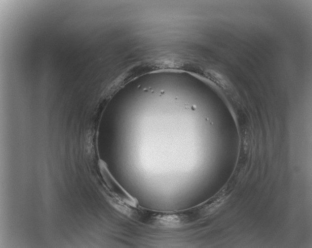 X0000068270409200604281557