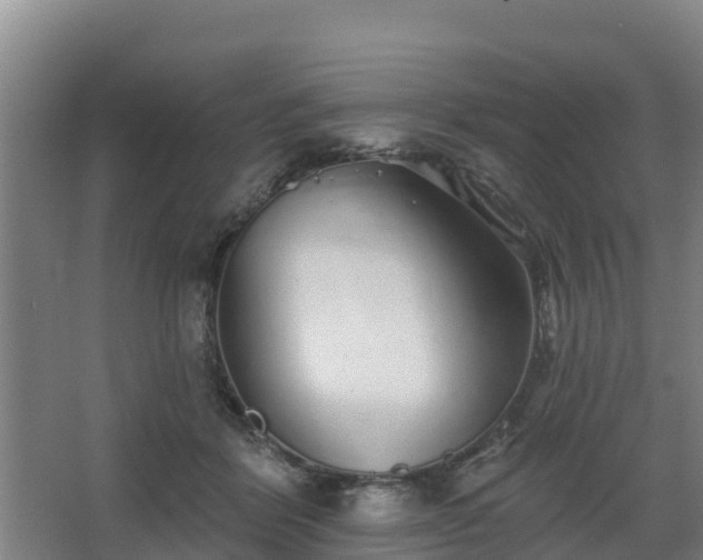 X0000068270412200604281557