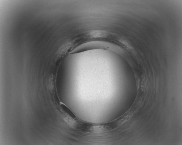 X0000068270413200604281556