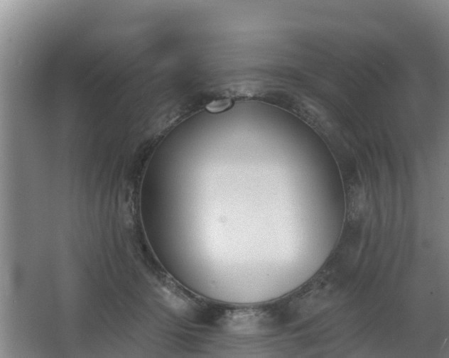 X0000068270414200604281556