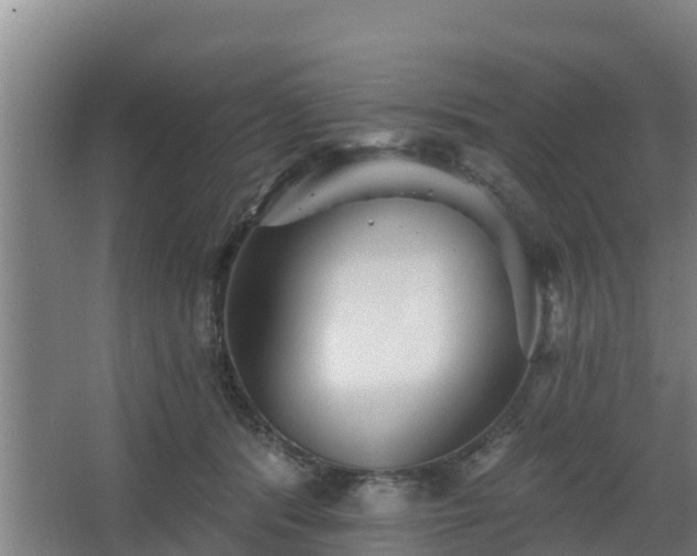 X0000068270416200604281556