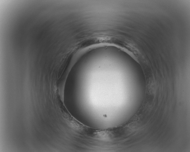 X0000068270417200604281556