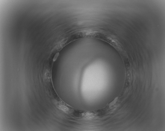 X0000068270419200604281556