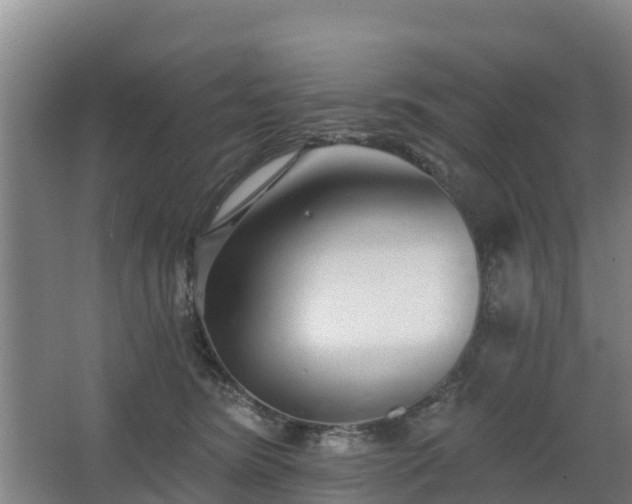 X0000068270420200604281556