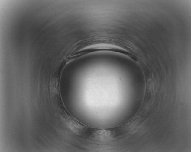 X0000068270421200604281556