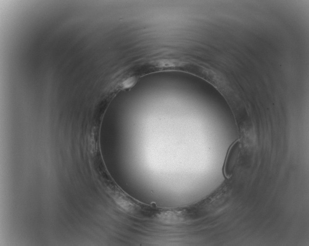 X0000068270422200604281556