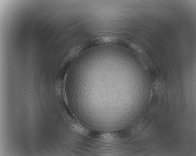 X0000068270423200604281556