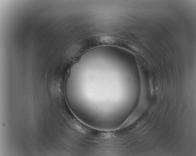 X0000068270424200604281556