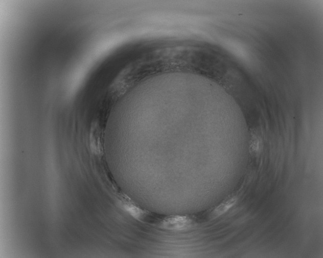 X0000068270431200604281556