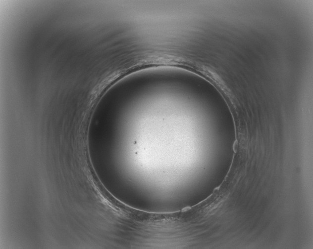 X0000068270433200604281555