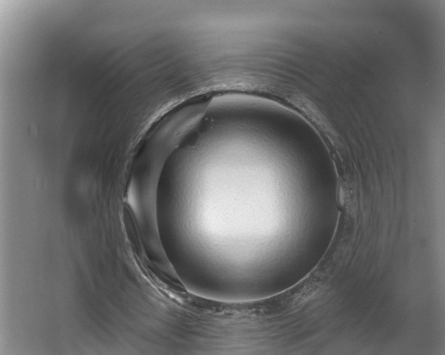 X0000068270434200604281555