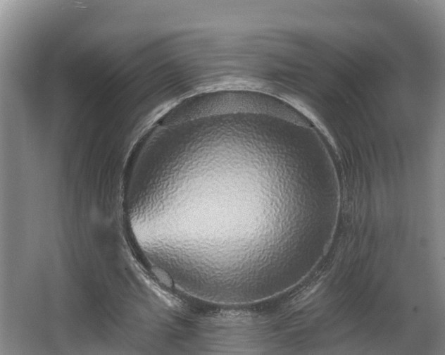 X0000068270437200604281555