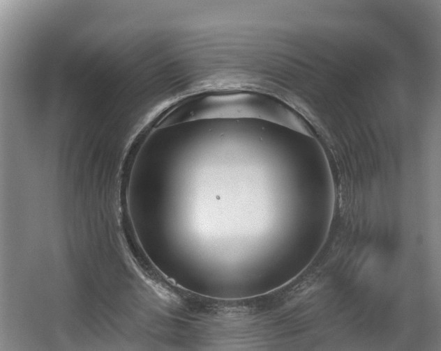 X0000068270438200604281555