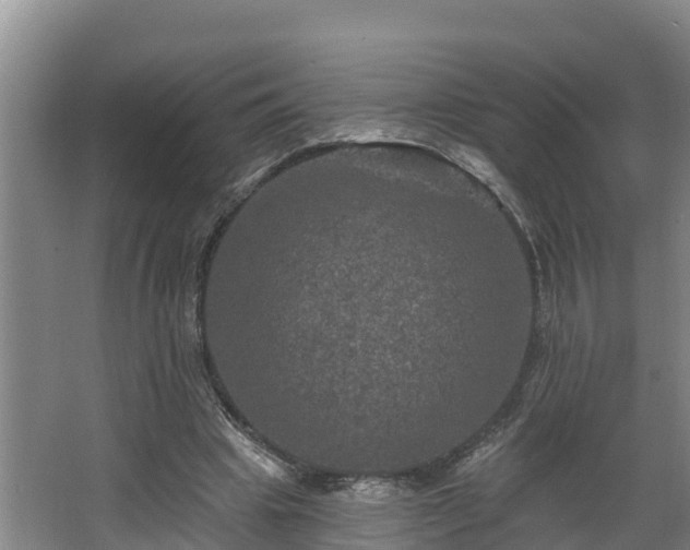 X0000068270441200604281556