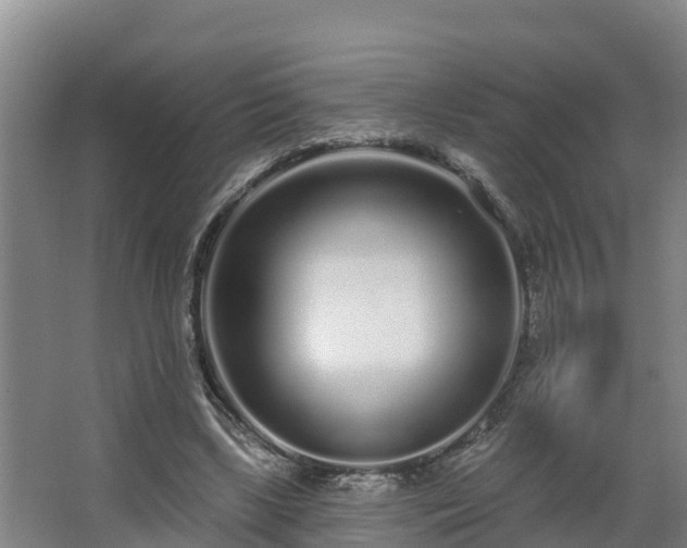 X0000068270443200604281556