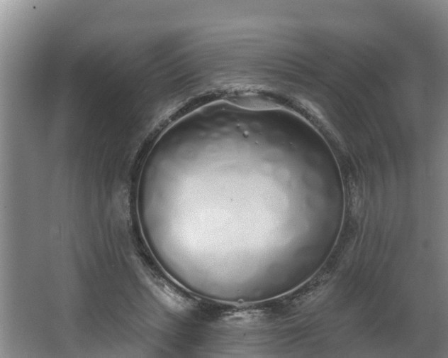 X0000068270447200604281556