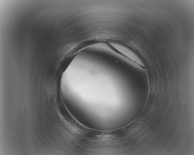 X0000068270448200604281556