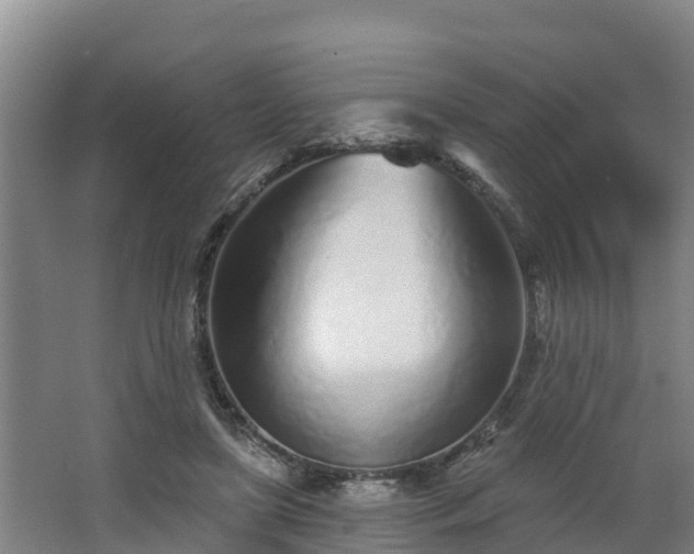 X0000068270451200604281556