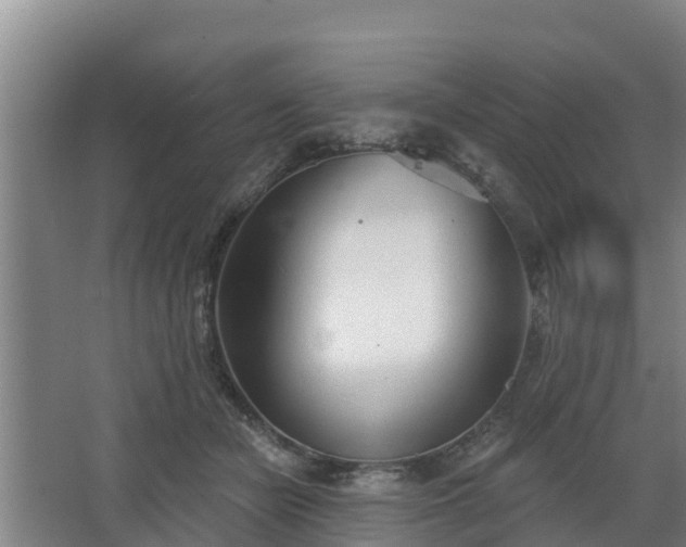 X0000068270462200604281556