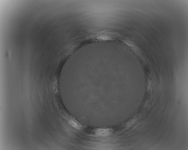 X0000068270465200604281556