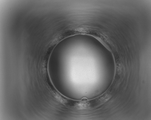 X0000068270466200604281556