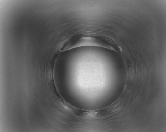 X0000068270474200604281556