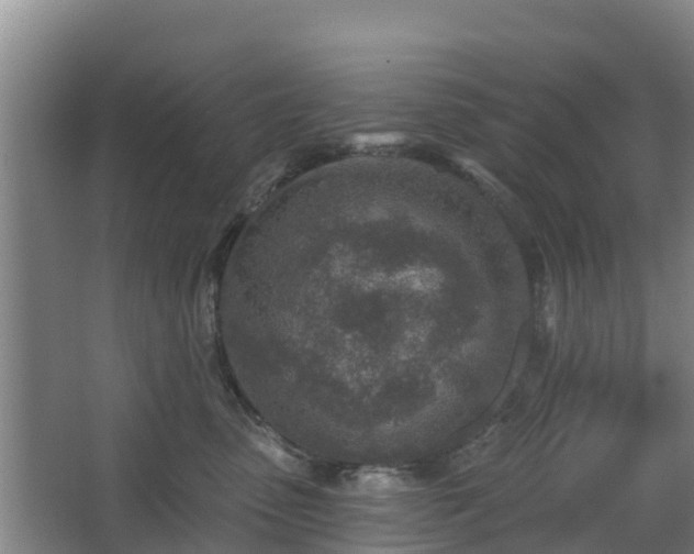 X0000068270475200604281556