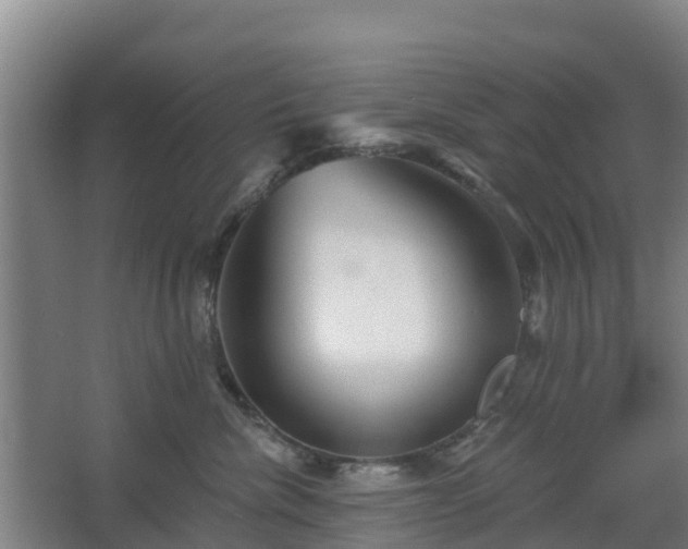 X0000068270476200604281556