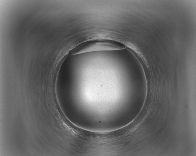 X0000068270481200604281555