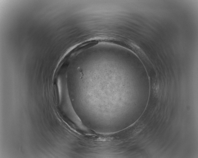 X0000068270484200604281555