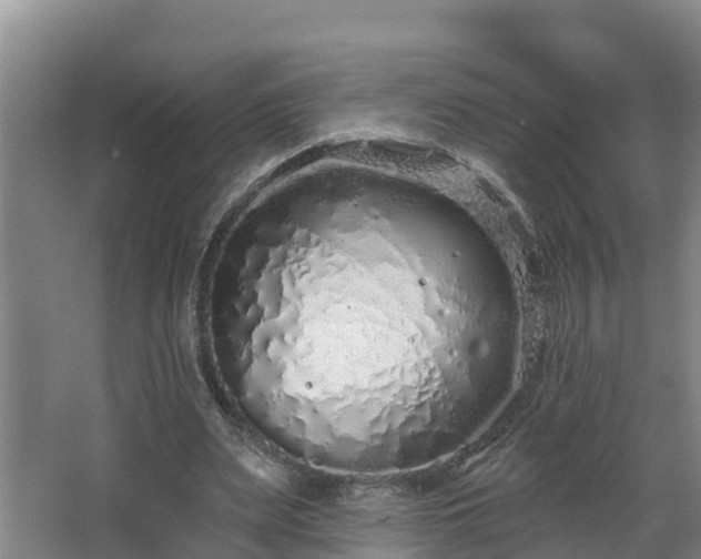 X0000068270487200604281555