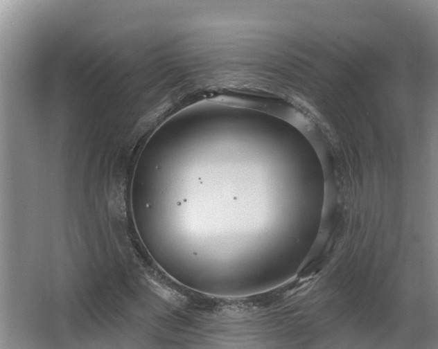 X0000068270489200604281555