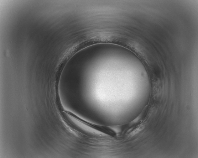 X0000068270493200604281555