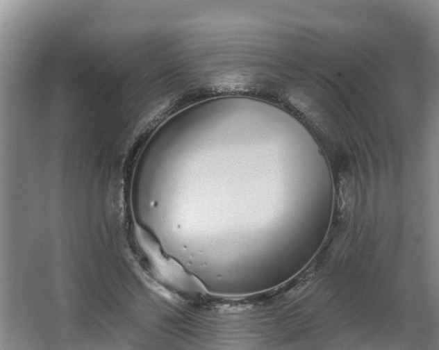 X0000068270494200604281555