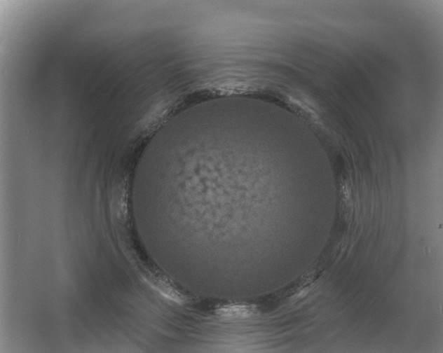 X0000068270499200604281555