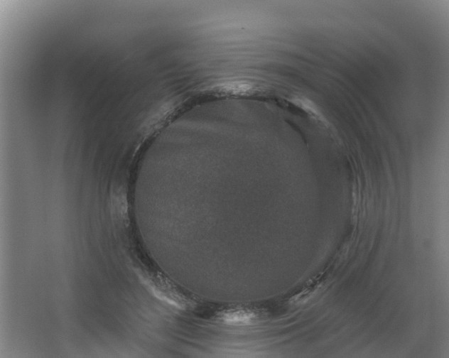 X0000068270500200604281555