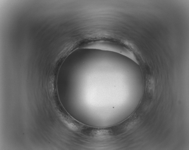 X0000068270501200604281555