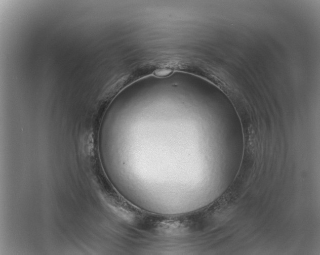 X0000068270502200604281555