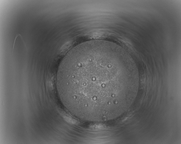 X0000068270503200604281555