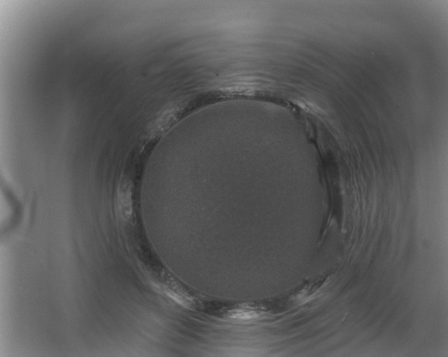 X0000068270504200604281555