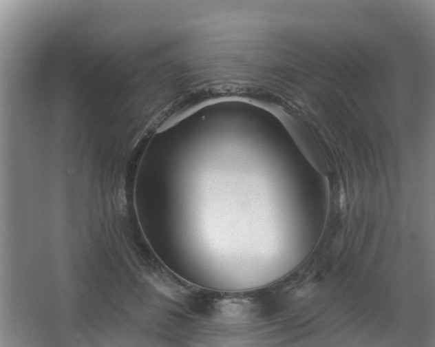 X0000068270508200604281555