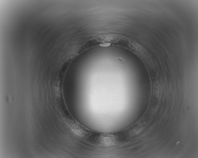 X0000068270510200604281555