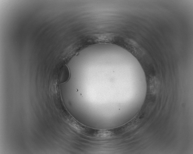 X0000068270514200604281555