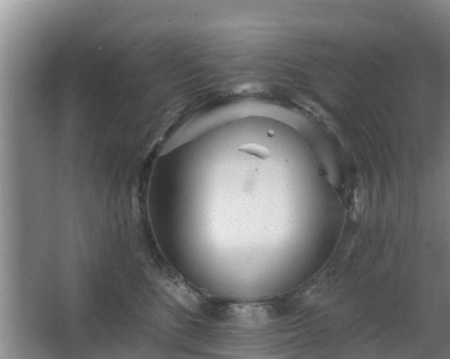 X0000068270520200604281555