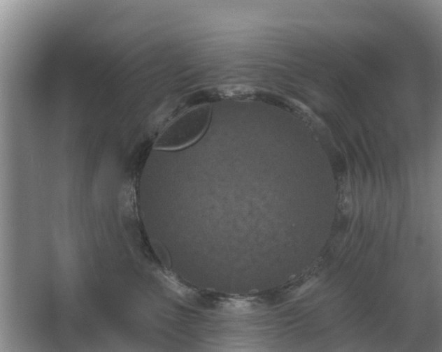 X0000068270523200604281555