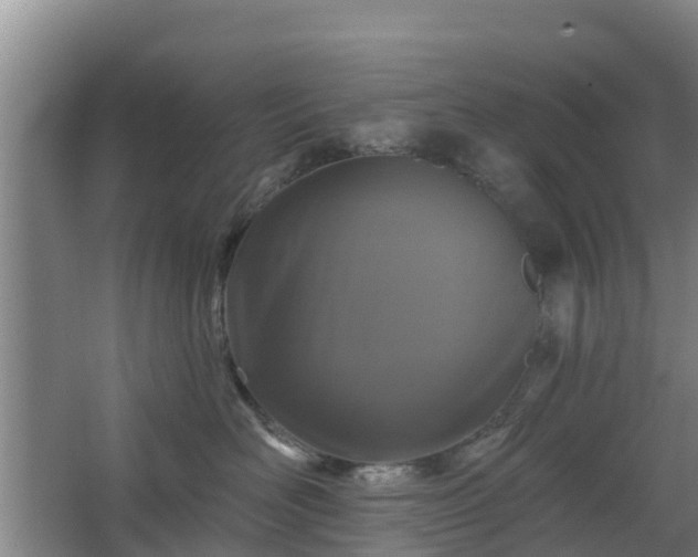 X0000068270526200604281555